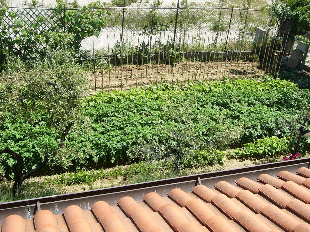 Nonna Alda Viareggio Ruang foto