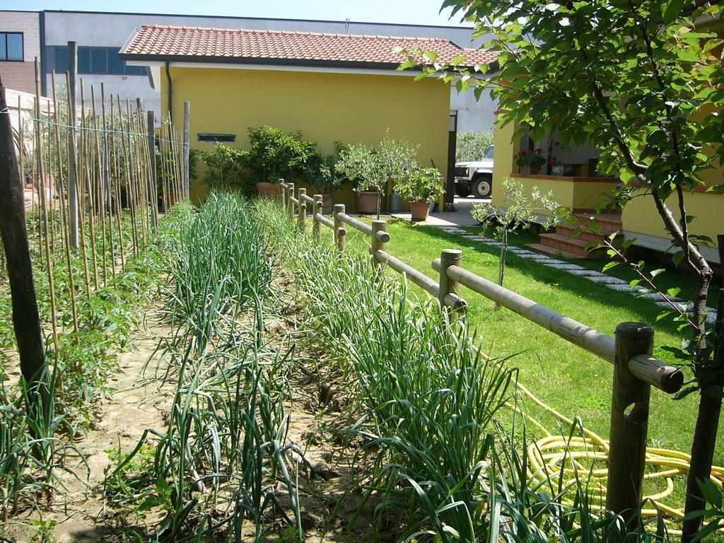 Nonna Alda Viareggio Ruang foto