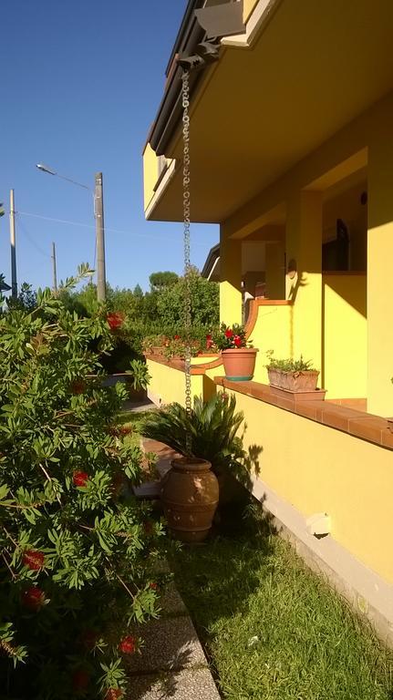 Nonna Alda Viareggio Bagian luar foto