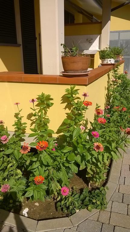 Nonna Alda Viareggio Bagian luar foto