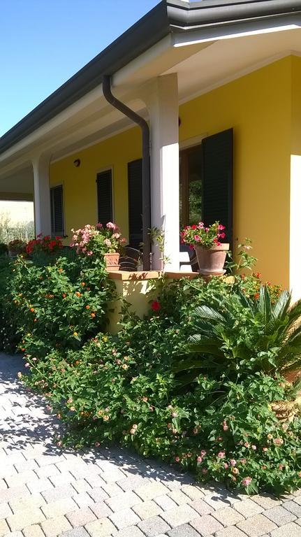 Nonna Alda Viareggio Bagian luar foto